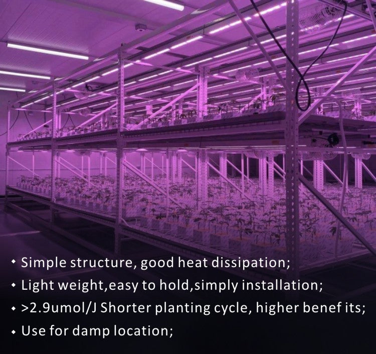 Factory Octopus: Commercial-Grade Full Spectrum LED Grow Lights with Meanwell Drivers - Eco LED Lightings 