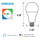 800 Lumen A19 LED Smart Light Bulb with RGB - 9W, WiFi Enabled, Works with Alexa and Google Assistant - Eco LED Lightings 