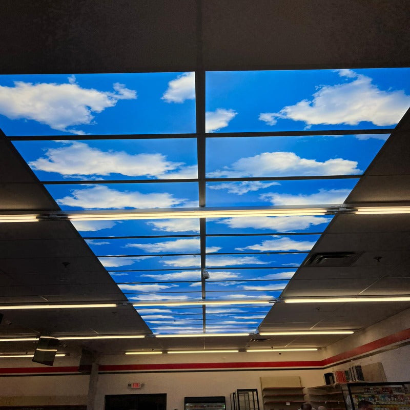 2x4 LED Panel with Ceiling Light Cloud Selectable Wattage 40W